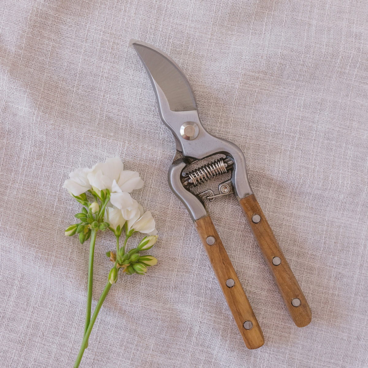 Vergelegen Pruning Shears