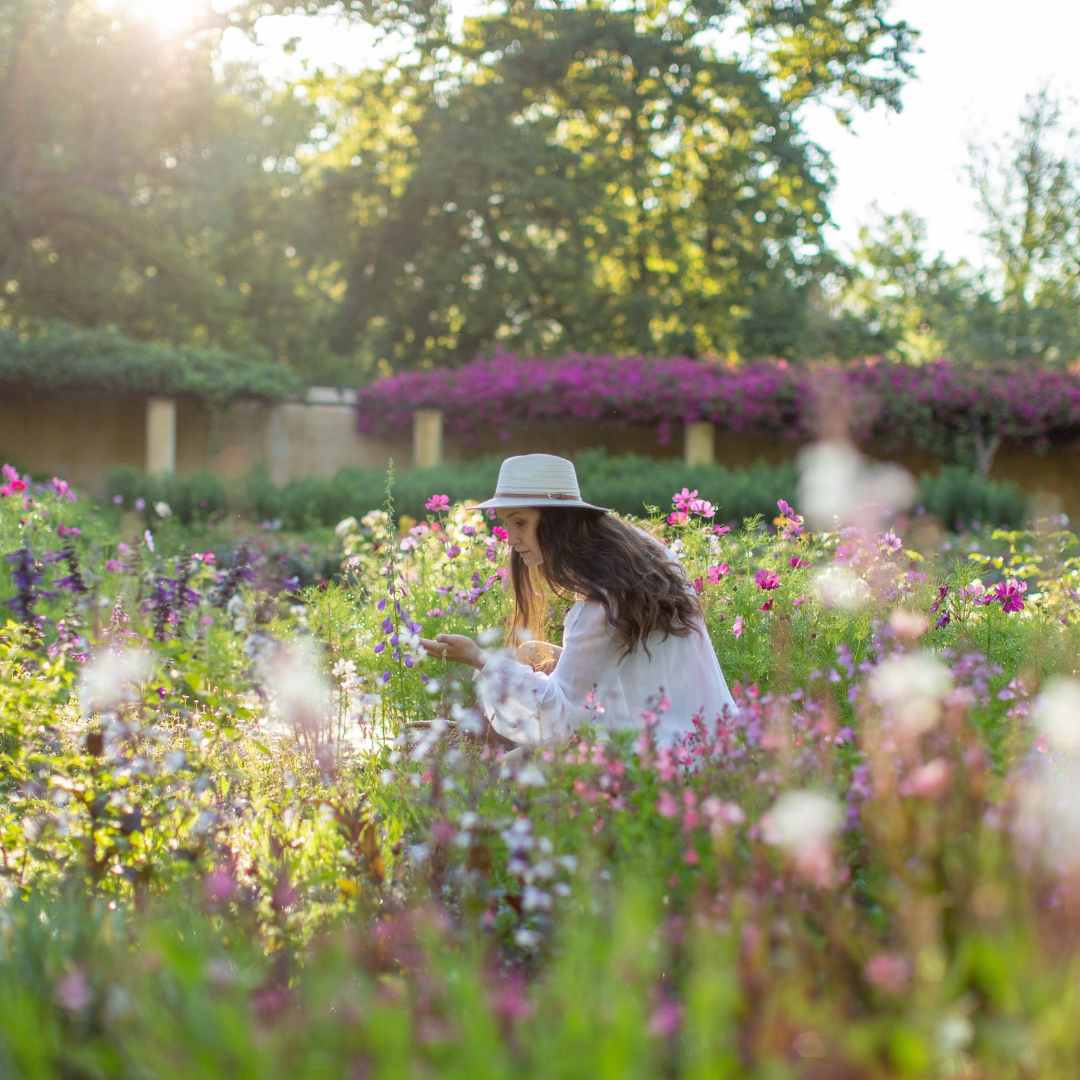 Vergelegen Garden Weekend