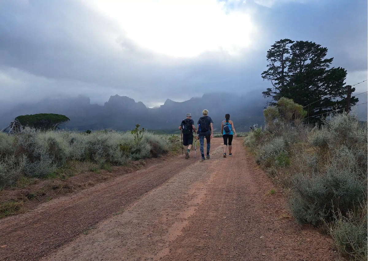 The Vergelegen Trail Experience – Saturday, 21 November